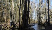 Tour Wandern Beauraing - RB-Na-29_Un terroir d’une biodiversité remarquable - Photo 2