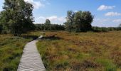 Tour Wandern Spa - La forêt et les fagnes - Photo 10