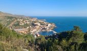 Tour Wandern Cerbère - Cerbère-Port Bou -Colera - Photo 15