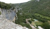 Trail Walking Buoux - Buoux-Grand Luberon 17km - Photo 1