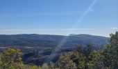 Tocht Stappen Brissac - brissac, notre Dame du suc - Photo 19