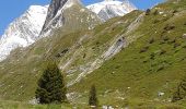 Percorso Marcia Pralognan-la-Vanoise - Tour de l''aiguille de la Vanoise - Photo 2
