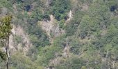 Percorso Marcia Val-d'Aigoual - Cascade d'Orgon depuis Cap de Côte - vue Mont Aigoual - Photo 8