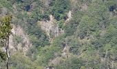 Excursión Senderismo Val-d'Aigoual - Cascade d'Orgon depuis Cap de Côte - vue Mont Aigoual - Photo 8