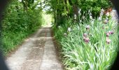 Tour Wandern Puy-Saint-Martin - La Montagne de Ste-Euphémie - Puy-St-Martin - Manas - Photo 16