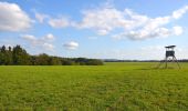 Tocht Te voet Gomadingen - Traufgang Wiesenrunde - Photo 1