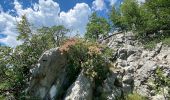 Percorso A piedi Doberdò del Lago - (SI A23) Centro visite Gradina - Malchina - Photo 2