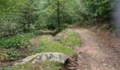 Excursión Senderismo Bouillon - Au départ de l'abbaye de Cordemois  - Photo 8