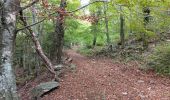 Tour Wandern L'Albère - autour de St Martin l'albere et puig forcadell  - Photo 18