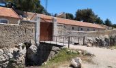 Tocht Stappen Ollioules - tour du gros cerveau  - Photo 1