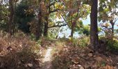 Trail Walking ບ້ານ ບັງເຢາະ - NKM Decouverte - Photo 1