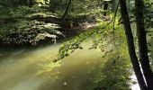 Tour Zu Fuß Schwarzenbruck - Schwarzenbruck Wanderweg No.1 - Photo 9