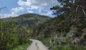 Trail Walking Valdoule - vers le Dindaret depuis Pra Boyer - Photo 10