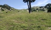 Tocht Stappen Saint-Agnan-en-Vercors - jour 1 Sommet de Peyre rouge  - Photo 5