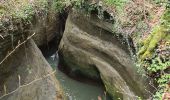 Excursión Senderismo Clarafond-Arcine - Entre Nant et Rhône  - Photo 9