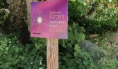 Trail Walking La Roche-des-Arnauds - Serigons - Rabou par petit Buëch  - Photo 13