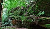 Excursión A pie Sankt Ingbert - Hasen-Rundwanderweg Oberwürzbach - Photo 4