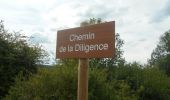 Trail Walking Montigny - 20230711-Montigny  - Photo 7
