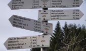Excursión A pie Bad Peterstal-Griesbach - Trogloch-Rohrenbacher Blick - Photo 4