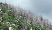 Trail On foot Soajo - Trilho da Ribeira de Vilela - Photo 2