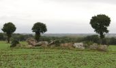 Percorso A piedi Beaussais-sur-Mer - Chemin des Dolmens - Photo 4