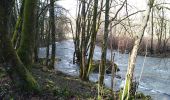 Tour Wandern Sentheim - la boucle du marché - Photo 7