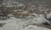 Tocht Stappen Evolène - glacier mont miné  - Photo 7