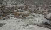 Trail Walking Evolène - glacier mont miné  - Photo 7