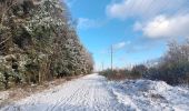 Randonnée Marche Spa - berinzenne entre forêt et fagne  - Photo 12