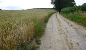 Trail On foot Bierbeek - Sint-Ermelindiswandelpad - Photo 8