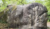 Tocht Stappen Fontainebleau - Fontainebleau Circuit PR Sentier Denecourt 5 - Photo 2