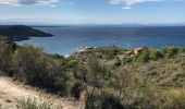 Tocht Stappen Banyuls-sur-Mer - Banyuls port a Collioure - Photo 2