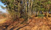 Tocht Stappen Retheuil - en forêt de Retz_76_dans les forêts de Retz et de Compiègne - Photo 7