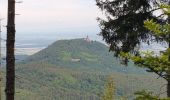 Tour Wandern Markirch - Col du Haut de Ribeauvillé - Rochers des Géants (Rother n°31) - Photo 10