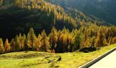 Tour Zu Fuß Bedretto - Alla Baita-Alpe di Cruina - Photo 1