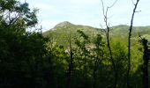 Randonnée Marche Courgoul - Les gorges de Courgouls et le Pic de Cluzel - Photo 20