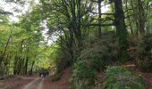 Tocht Noords wandelen Lauroux - Labeil Forêt de L'Escandorgue Roquet Escu - Photo 12