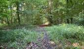 Randonnée Marche Dampleux - en Forêt de Retz_101_05_2026_sur la Route des Briolles et la Route de Hautwison - Photo 11