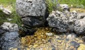 Tour Wandern Opi - Anello val fondillo monte nicola valle fredda - Photo 1