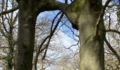 Excursión Senderismo Gerpinnes - Gougnies par les courtils  - Photo 2