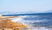 Percorso A piedi Carry-le-Rouet - Entre calanques et collines - Photo 8