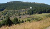 Randonnée Marche Borée - Tour du Mont Mézenc 14,5km - Photo 8