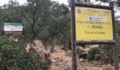 Tocht Stappen Saint-Raphaël - massif de l'Esterel : autour des grues  - Photo 17