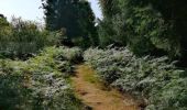 Tour Wandern Vielsalm - Promenade de la Fagne Sacrawé  - Photo 1