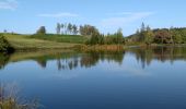 Randonnée Marche Beulotte-Saint-Laurent - 13-10-19 : 1000 étangs entre Corravillers et Beulotte - Photo 6