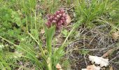 Tour Wandern Le Sauze-du-Lac - balade balcons du lac 300521 - Photo 13