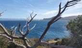 Tour Wandern Hyères - porquerolles - Photo 10