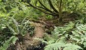 Tour Wandern Combrit - Bois de Rescoure. Pont l'abbé. 15/07/20. - Photo 9