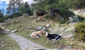 Randonnée Marche Saint-Martin-Vésubie - Cougourde-Lac de Trécolpas Mercantour - Photo 17