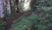 Trail Walking Brey-et-Maison-du-Bois - Belvedere des 2 lacs - Photo 2